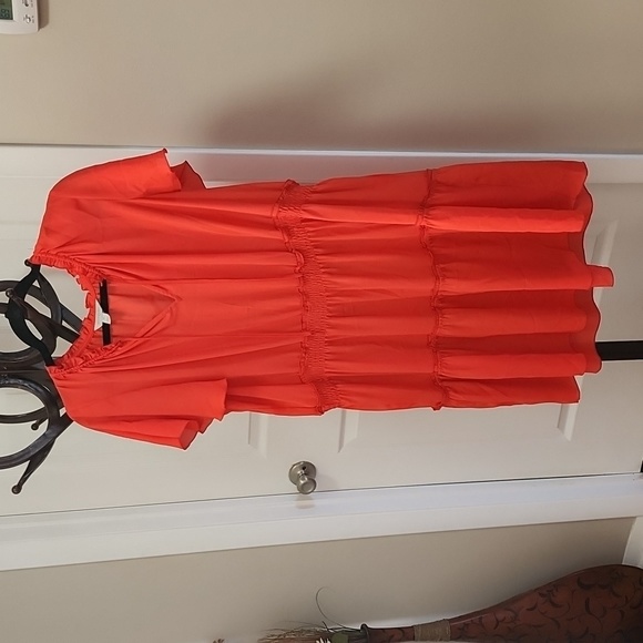 Belle & Sky Mini dress - Picture 5 of 5